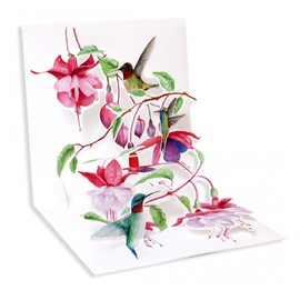 Up With Paper Everyday Pop-Up Greeting Card, 5-1/4" x 5-1/4", Hummingbirds