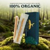 Al Fatah Sewak Miswak (cepillo de dientes natural tradicional) (paquete