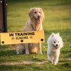 In Training Ignore Dog Leash Sleeve Dot Not Pet Working