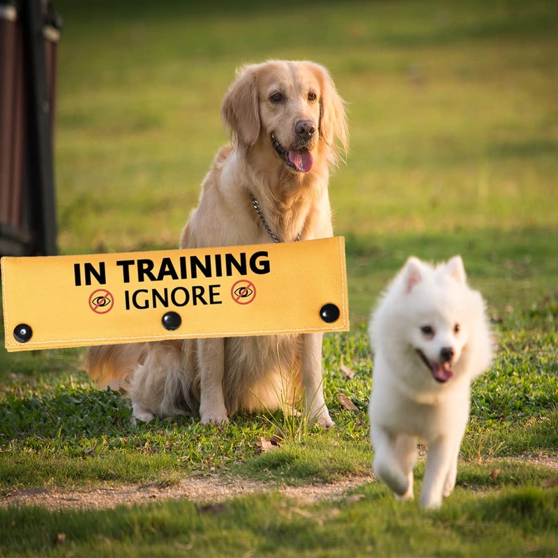 In Training Ignore Dog Leash Sleeve Dot Not Pet Working
