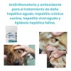 Hepatopets 60 Tab. Silimarina Hepatoprotector Y Antioxidante