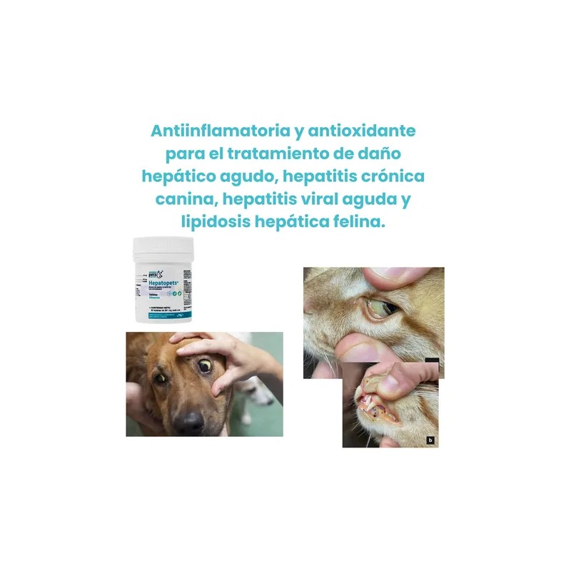 Hepatopets 60 Tab. Silimarina Hepatoprotector Y Antioxidante