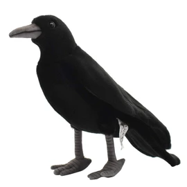 BH 6266 HANSA Crow 31