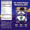 ChocZero Keto Blueberry Fruit Spread, No Added Sugar, Low Carb,
