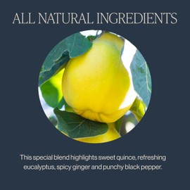 Rishi Tea Quince Eucalyptus Herbal Tea - Organic Direct Trade Sachet Bags, Caffeine Free Clarifying Breathe Botanical Blend - 15 Count (Pack of 1)