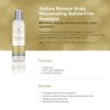 Avlon Texture Release Scalp Rejuvenating Sulfate-Free Shampoo 8oz/237ml