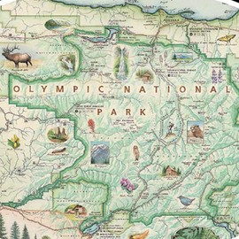 Olympic National Park Map Cardboard Jigsaw Puzzle -1000 Pieces, Hand-Illustrated - Educational, Family Activity, Ages 7+, Includes Poster - 25.4 x 19.8