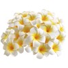 Goodangie00 50Pcs 2.4Inch Artificial White Foam Plumeria Rubra Hawaii Frangipani