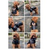 Lovelonglong Cool Dog Leather Jacket, Warm Coats Dogs Windproof Cold