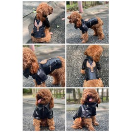 Lovelonglong Cool Dog Leather Jacket, Warm Coats Dogs Windproof Cold Weather Coats for Large Medium Small Dogs with Eagle Embroidery Black M