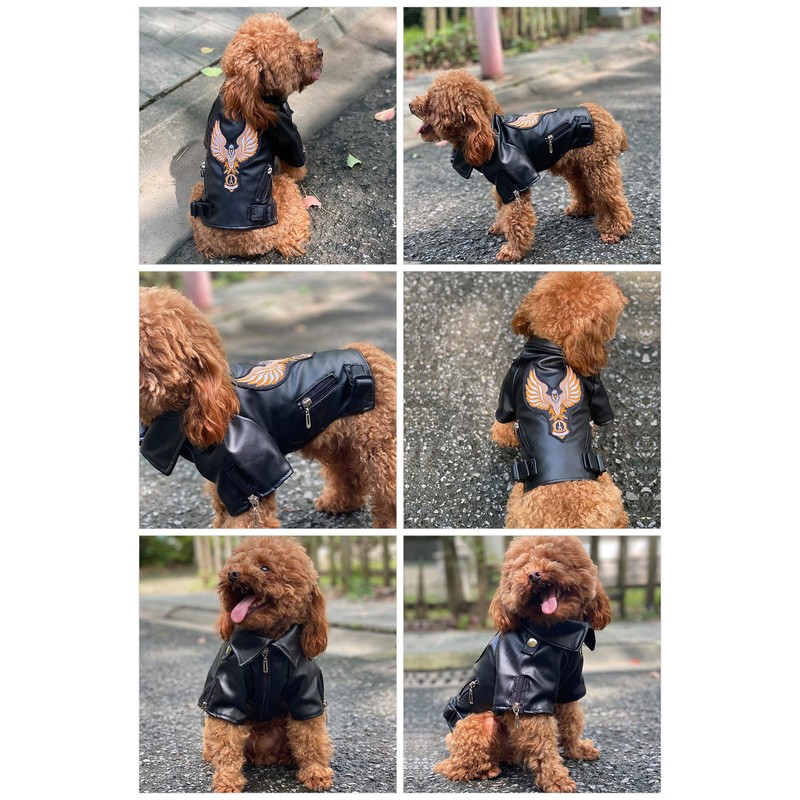 Lovelonglong Cool Dog Leather Jacket, Warm Coats Dogs Windproof Cold
