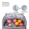 Lunch Bag 10L Collapsible Adjustable Strap Leakproof Portable Handle Insulated
