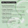 HARUHARU wonder Centella Phyto & 5 Peptide Concentrate Cream, Daily
