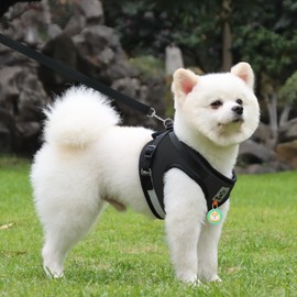 Cat Harness and Lead Set, Escape Proof Cat Kitten Walking Vest with Leash, Adjustable Soft Reflective Mesh Vest Harness and Lead for Small Medium Cats Pets (Black, L)