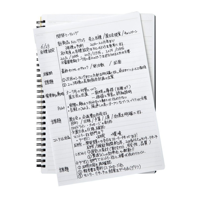 Maruman MNEMOSYNE Notebook 9.92 x 7.05 Inches (B5), 7mm ruled
