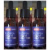 3 Cure You Foodie Peare Cella Solution / 3개 큐어유 푸디페아 셀라솔루션