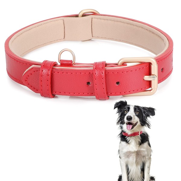 Classic Red Leather Dog Collar for Small Medium Large Dogs