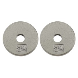 Ader Standard 1" Hole Cast Iron Weight Plate Pair- 2.5LB, Gray