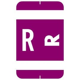 1-5/8"H x 1"W Purple Smead Acc & ACCS Compatible 1-5/8" Alpha Labels 'R' (250/Roll) - TBBS-91838