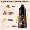 Shampoo Con Tinte Hair Dye Natural Jengibre Para Cubre Canas