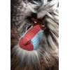 sigikid BEASTS Cuddly Toy Animals for Adults and Children