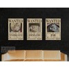 3-in-1 One Piece Anime Monster Trio [Original Style] Wanted Poster,