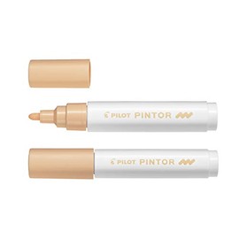 PILOT Pen Pintor Marker Medium Pastel Orange SWPTM