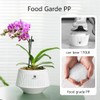 Meshpot 5 inch Orchid Pots with Holes for Repotting,Set of