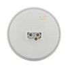 United Pacific 21 LED 4""GLO" Stop, Turn & Tail Light