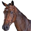 Collegiate Comfitec Training Bridle Brown Cob