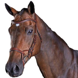 Collegiate Comfitec Training Bridle Brown Cob