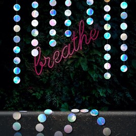 Shining Iridescent Circle Dots Hanging Garland Sparkling Iridescent Circle Dots Hanging Streamer Glitter Circle Bunting Banner Circle Dots Backdrop for Wedding Baby Shower Birthday Xmas Decor 40 Feet