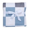 Lambs & Ivy Little Racer Soft Checkered Blue/White/Taupe Fleece Baby