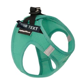 P24S Smart Step-In Dog Harness with 2 Free Custom Name Stickers, Velcro Sticker, Desired Texts for Small Dog Breeds with Online Dogtag Service (Turquoise Green, XS (Chest: 40-48 cm))
