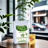 TEARELAE - Oregano Tea Bags - 50 Count - Premium