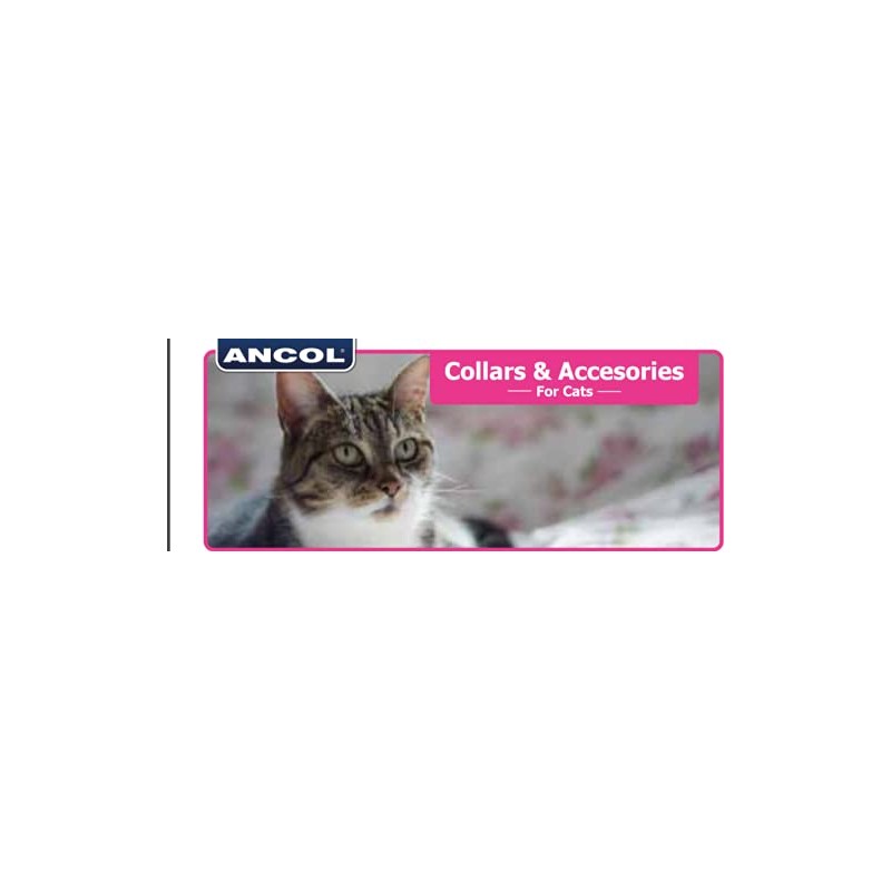 Ancol Hi-Vis Cat Collar Orange