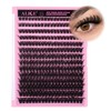 280Pcs Wispy Individual Lashes DIY Eyelash Extensions 8-16MM D-Curly Lash