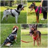 Plutus Pet No Pull Dog Harness, Reflective Adjustable Dog Vest