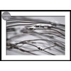 Black and White Winter Photography Rustic Coiled Wire Fence Snow