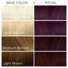 Arctic Fox Vegan and Cruelty-Free Semi-Permanent Hair Color Dye (4
