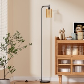 Ziisee Floor Lamps for Living Room - Standing Lamp with Glass Lampshade, Modern Floor Lamp with LED Bulbs, Bright Industrial Floor Lamp for Bedroom, Black Tall Lamp for Office(Light Bulb Included)