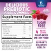 Fiber Gummies – Sugar Free Prebiotic Plant-Based Fiber 4g per