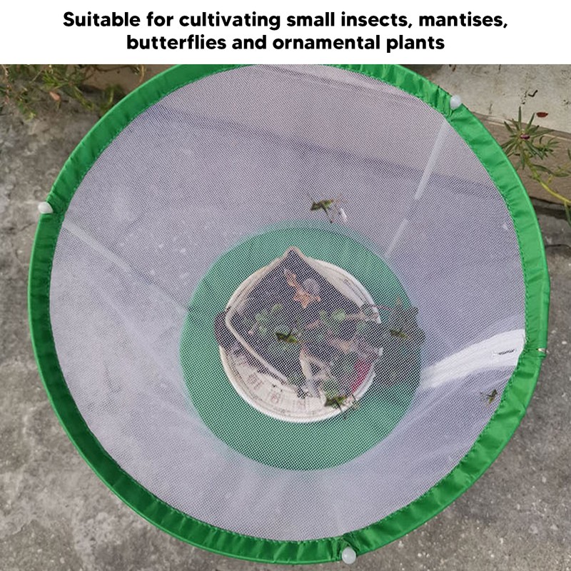 Cylindrical Butterfly and Insect Observation Cage Transparent Mesh Habitat Cage