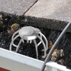 PATIKIL Gutter Guard, 304 Stainless Steel Down Pipe Strainer, Anti-Blocking