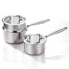 DELARLO Sauce Pan Sets, Compatible with All Cooktops 600℉, Full Clad Triply Stainless Steel Saucepan, 1QT Pot & 2 QT Pot with Steamer (Lids 300℉)