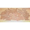 Carpathian Elm Burl Wood Veneer Sample Pack 100 Pieces with