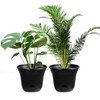 San Marino Lazy Planters - Self Watering Planter - Large