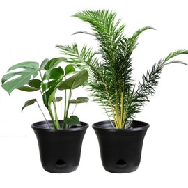 San Marino Lazy Planters - Self Watering Planter - Large Planter - Indoor & Outdoor (2 x 25cm)