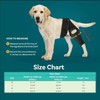 Hind Leg Dog Knee Brace, Cruciate Ligament Care Knee Brace