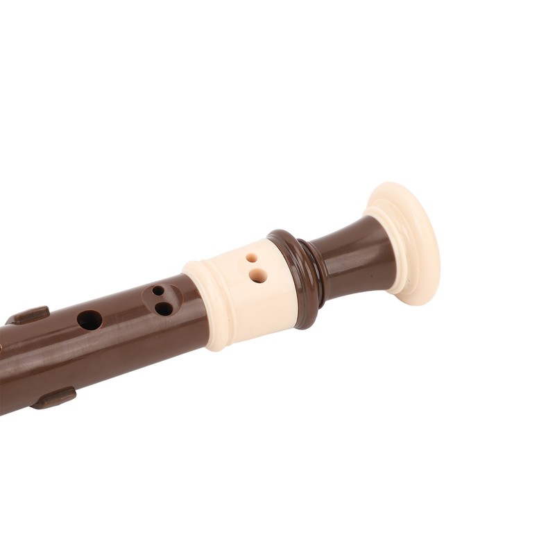 8 Hole Recorder Detachable Soprano Recorder Musical Instrument with Cleaning